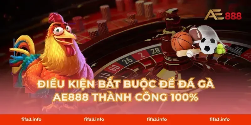 Điều kiện bắt buộc để Đá gà AE888 thành công 100%