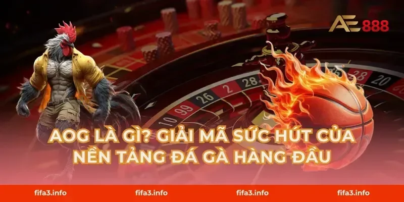 AOG là gì? Giải mã sức hút của nền tảng đá gà hàng đầu