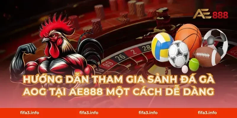 Hướng dẫn tham gia Sảnh Đá Gà AOG tại AE888 một cách dễ dàng